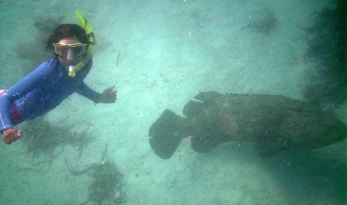 Amy with one of the smaller grouper © SW